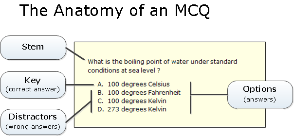 Anatomy of a multiple choice question